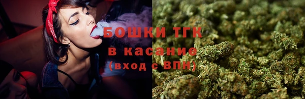 прущие грибы Белокуриха
