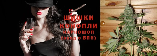 шишки Беломорск