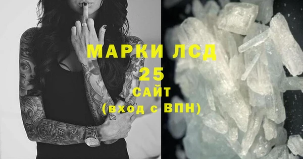 прущие грибы Белокуриха