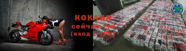 прущие грибы Белокуриха