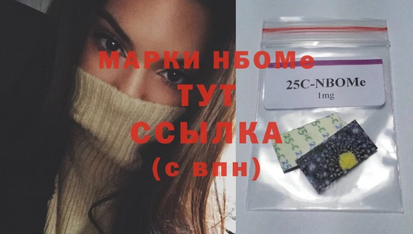 прущие грибы Белокуриха
