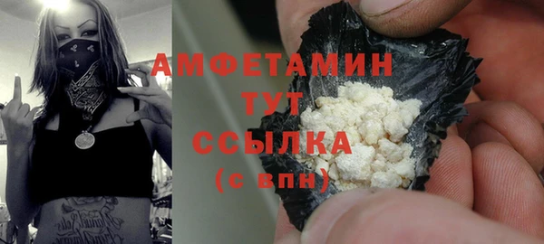 прущие грибы Белокуриха