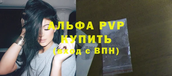 шишки Беломорск