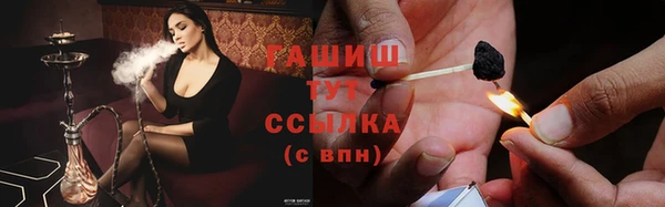 шишки Беломорск