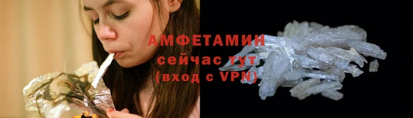 шишки Беломорск