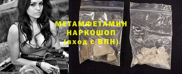шишки Беломорск