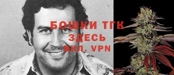 молекула духа Белоозёрский