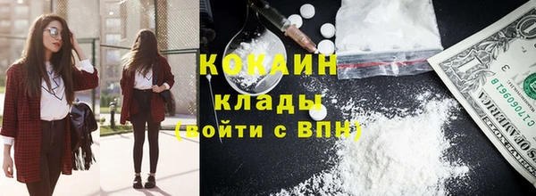 прущие грибы Белокуриха